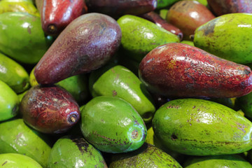 Avocados at the Farmers Market. Ugly food concept.