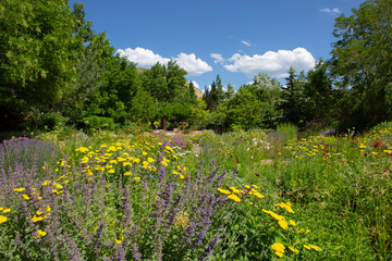 botanic garden colorful flowers and plants beautiful scene