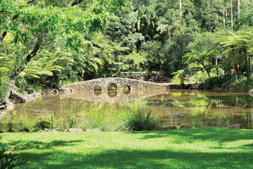 Botanic Gardens Mt Tamborine
