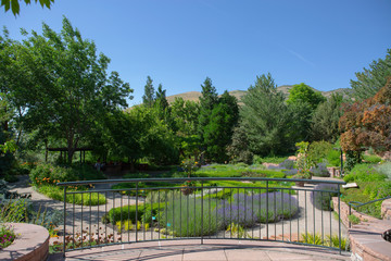 botanic garden blossom colorful flowers beautiful nature blossom 