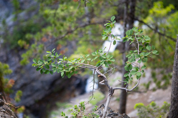 botanic garden blossom colorful flowers beautiful nature blossom 