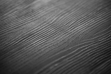 Fototapeta premium Wood Texture