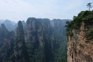 Fototapeta na wymiar Quartzite sandstone pillars and peaks in Zhangjiajie National Forest park in china Hunan province. wide brown stone mountains. one pine tree on steep mountain