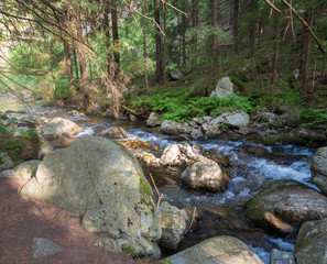 summer mountain stream Smrecianka creek with stones and boulders, moss, fern and trees in Western Tatras mountains, Rohace Slovakia