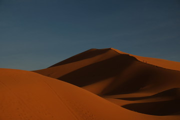 Fototapeta na wymiar brown Sahara desert dune at sunset. deep blue sky. Near Merzouga Morocco. wide angle