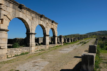 Roman Ruins brown arched relic and long road in volubilis in morocco. View of the Basilica. ruins with blue sunny sky © Robert