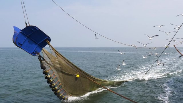 Commercial shrimp fishing boat trawling for crustaceans, REAL TIME