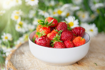 Fresh strawberry close up on rustic wooden table at countryside with camomiles on background.