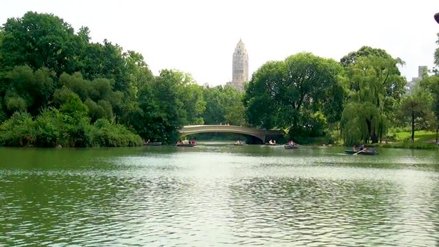 Boat pedals swimming on a pond in the Central Park
