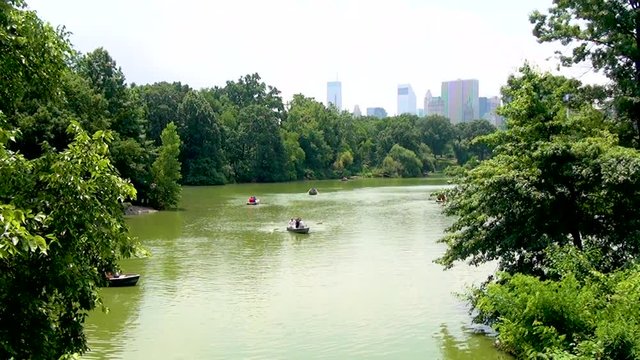Boat pedals swimming on a pond in the Central Park