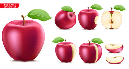Red Apple Fruit Ripe Realistic 3D Food Vector Set. Whole Half and Sliced Version In Isolated White Background