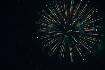 Fototapeta premium fireworks in the sky. fireworks on the black sky. closeup