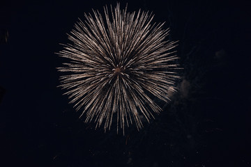 fireworks in the sky. fireworks on the black sky. closeup