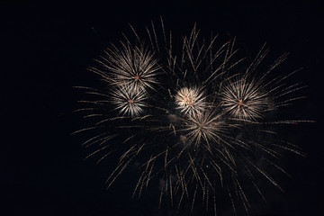 Fototapeta premium fireworks in the sky. fireworks on the black sky. closeup