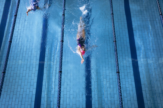 Swimmers in a pool