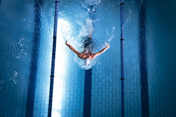 Swimmer in a pool