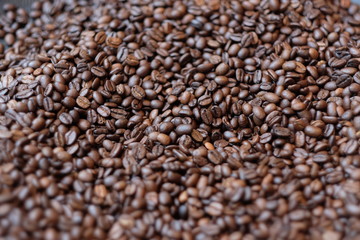 close up a pile of fresh bright roasted coffee beans under sunlight. Soft focus background