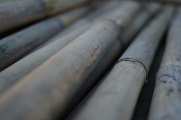 Dry brown pile of bamboo background