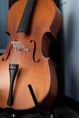 Close up one standing brown cello close to the wall. Shadow on white wall