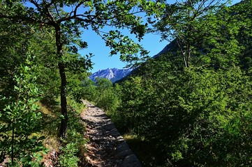 Mountain path surrounded by summer vegetation near Manita Pec cave in Paklenica National Park, Croatia