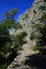 Fototapeta na wymiar Mountain path surrounded by vegetation, leading towards steep rock cliff. Location near Manita Pec, Paklenica National Park, Croatia 