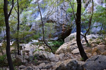 Trees growing around pond of fresh mountain water under cliffs, located in Paklenica National Park, Croatia