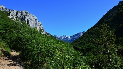 Fototapeta na wymiar Forested valley, stony pathway and rock cliffs near Manita Pec cave in Paklenica National Park, Croatia, during hot summer sunny day