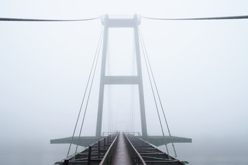 Cable-stayed bridge in fog