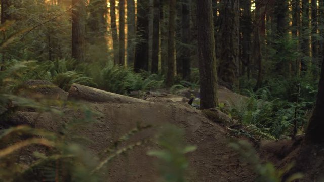 Golden Hour Mountain Bike Jump with Sun Rays in Forest Trees