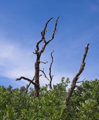 Rock Formations at Garden of the Gods