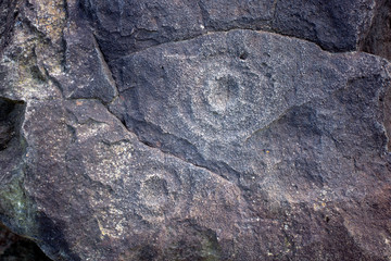 Sikachi-Alyan. Petroglyphs on the rocks