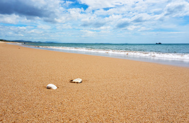 Tuy Hoa, Vietnam JUNE.23.2019: Shell at beautiful Beach in Tuy hoa Phu yen
