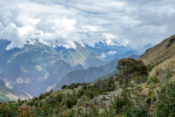 Fototapeta na wymiar Narrow path on the hiking trail at high altitude Peruvian mountains between Maizal and Yanama, Peru