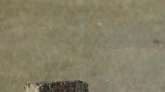 Closeup of water bottle exploding from shotgun blast.