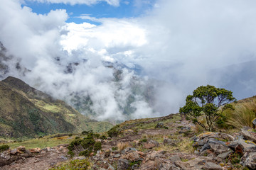 Narrow path on the hiking trail at high altitude Peruvian mountains between Maizal and Yanama, Peru