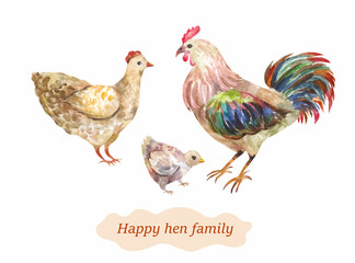Domestic bird family. Hen, cock and chick. Vector watercolor illustrati