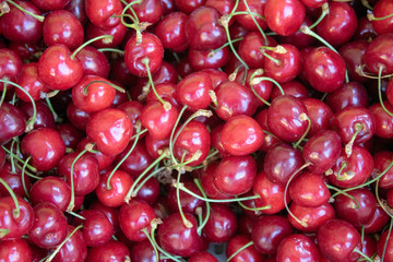 Cherry grains close-up. Dusty surface