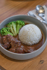 Beef stewed in soy sauce with rice. Cooked beef meat in asian style.
