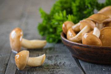 Fresh parsley leaves in a bowl with fresh mushrooms on the table.