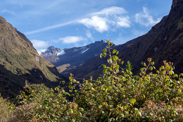 Green mountains with snow covered peaks, Andes, Peru