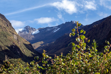 Green mountains with snow covered peaks, Andes, Peru