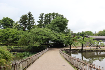 Fototapeta premium 滋賀 風景