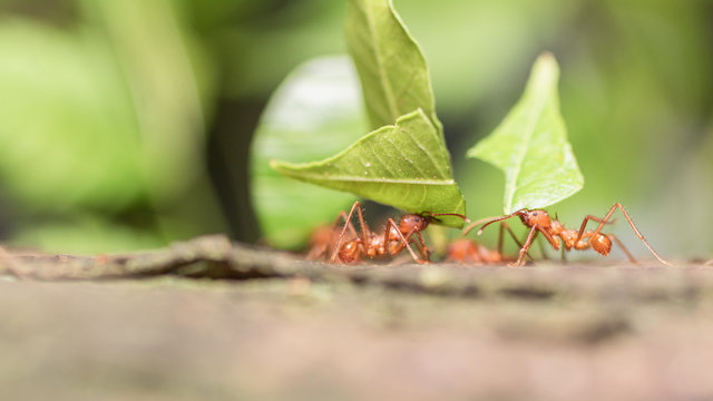Platicando en el trabajo