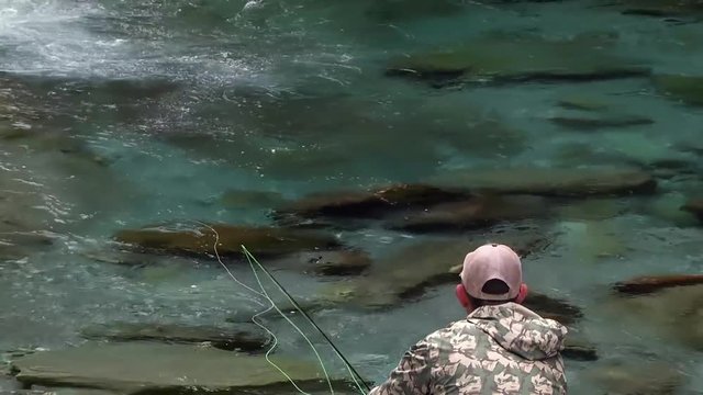 Trout fly fishing in mountain river at summer. A fisherman catching a big fish. A trout didn't take the bait and flows away