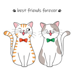 Best friends forever. Couple of cute cartoon cats. Hand drawn illustration