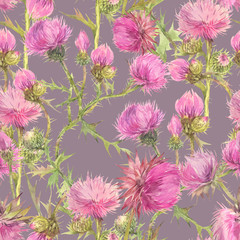 Floral seamless pattern with thistle field herbs. Hand painted watercolor illustration.