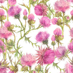 Floral seamless pattern with thistle field herbs. Hand painted watercolor illustration.