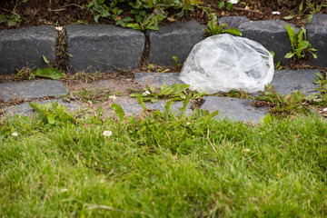 Thrown white bag on green grass with stones curb