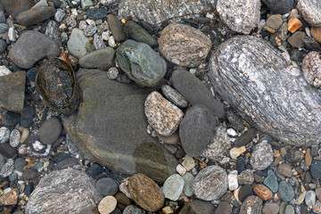 Nature rocks in river,Nature rock background