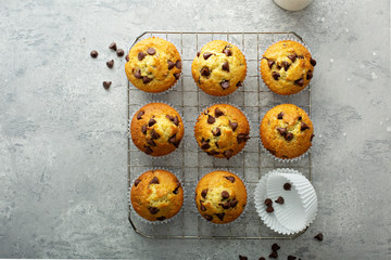 Chocolate chip muffins with milk overhead view on a cooling rack
